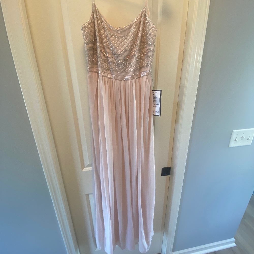 Adrianna Papell Blush Beaded Chiffon Dress